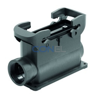 19430240231